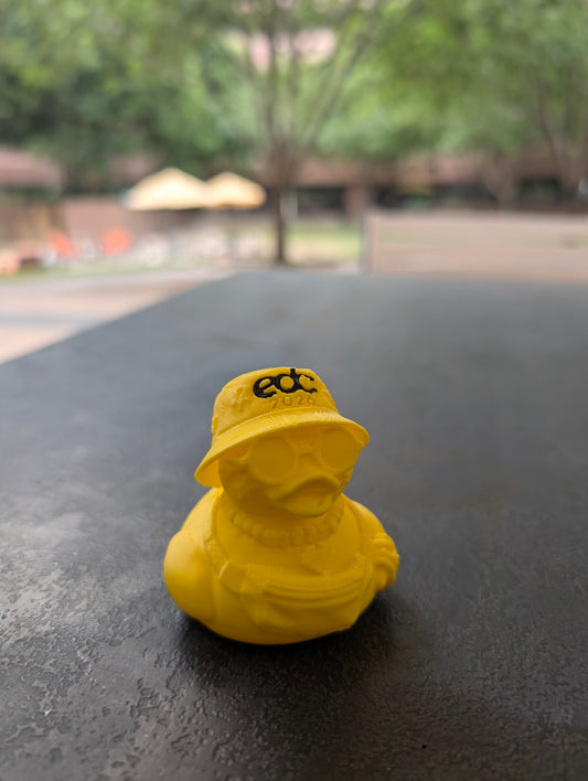 Rave Duck 2026