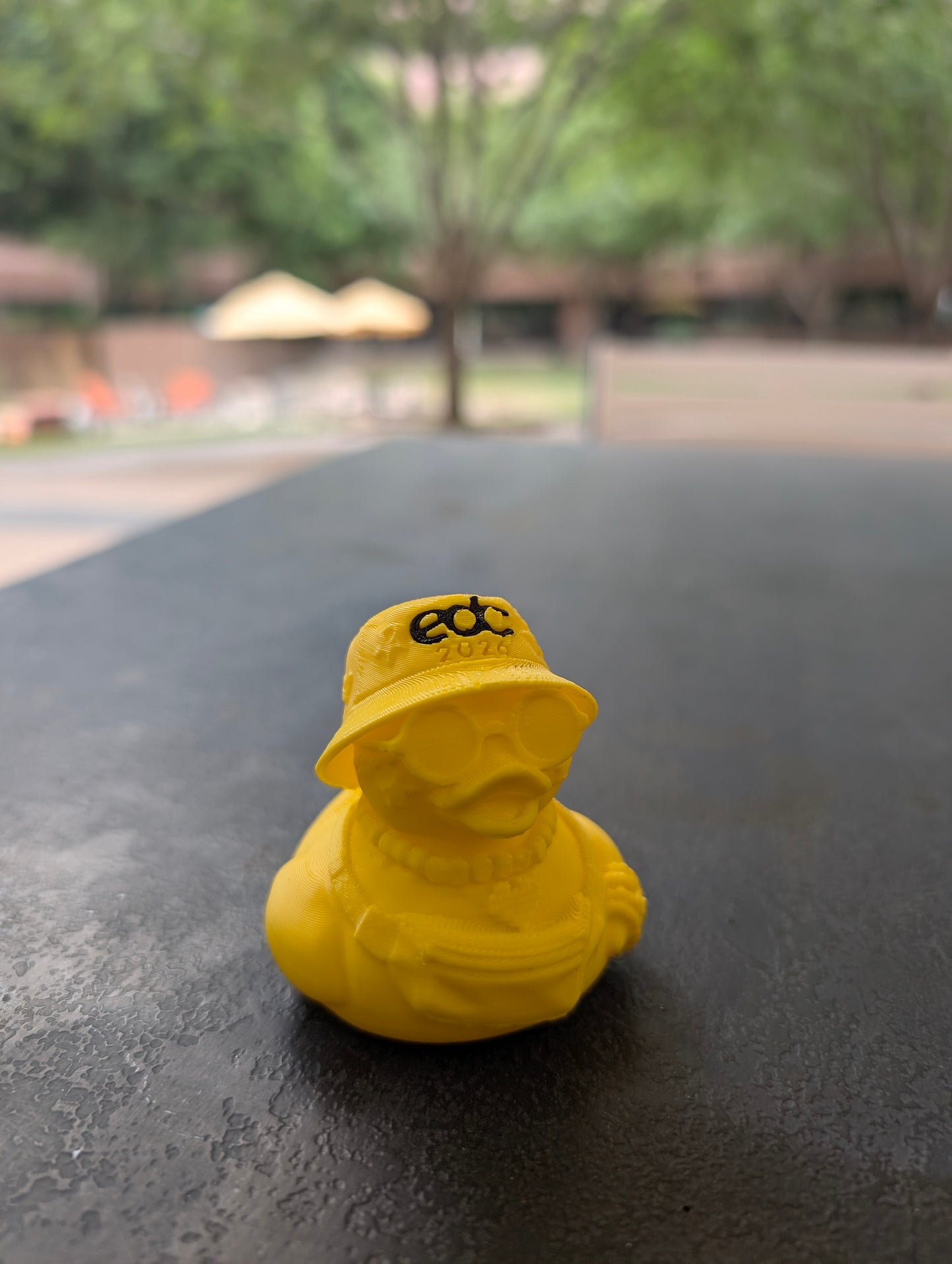 Rave Duck 2026