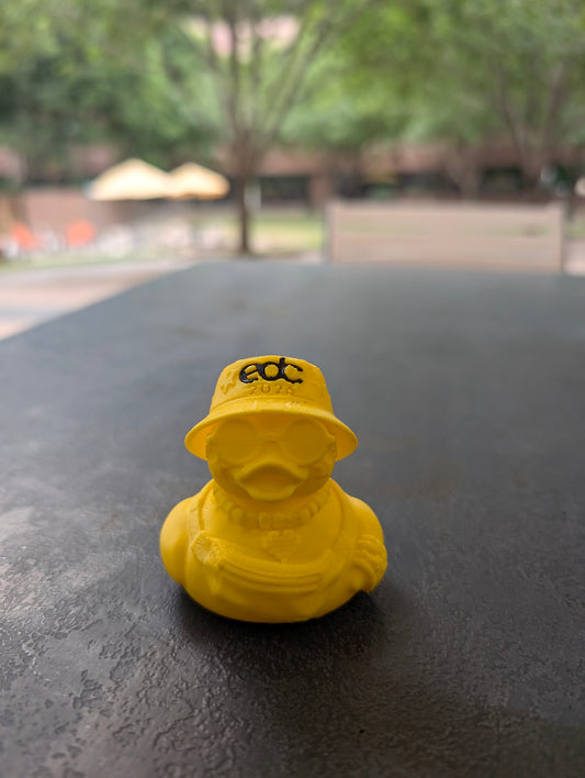 Rave Duck 2026